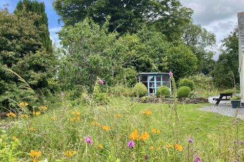 Flower Meadow