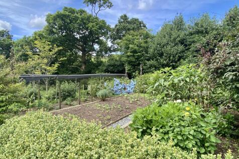 Vegetable/Cut Flower Garden