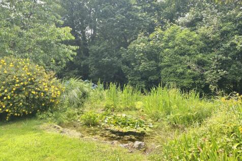 Large Pond