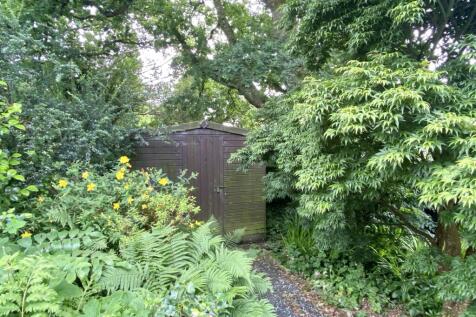 Shed