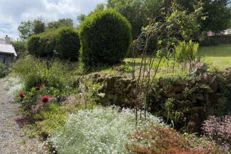 Colourful flower beds