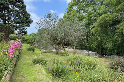 Mature trees and shrubs
