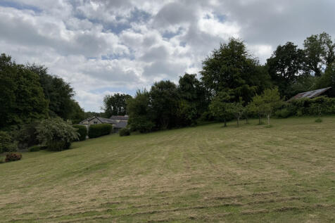 Orchard Field
