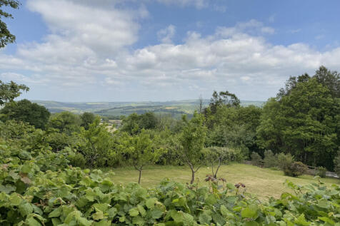 View from top of garden