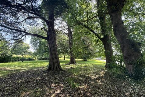 Communal Woodlands