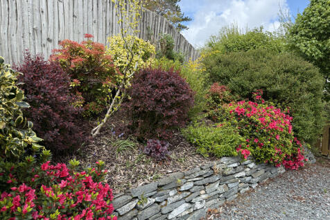 Colourful Flower Beds