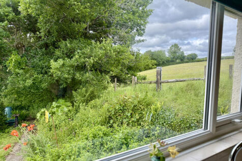View from Kitchen Window