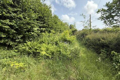 Further Garden