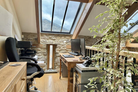 Study Area