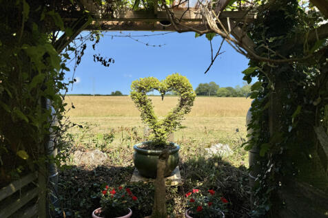 View from Garden