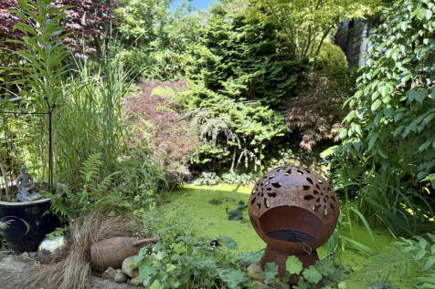 Wildlife Pond