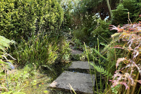 Stepping Stones
