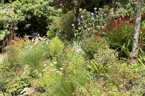 Pretty Flower Beds