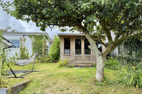 Mature Apple Tree