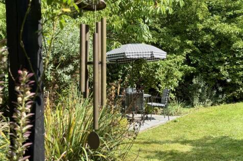 Patio Area