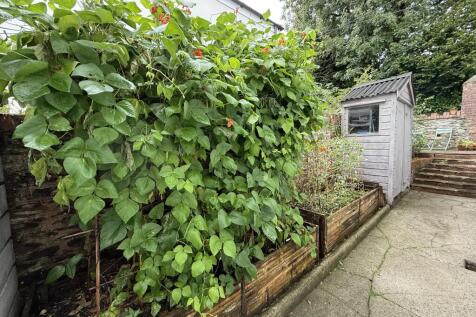 Raised Beds