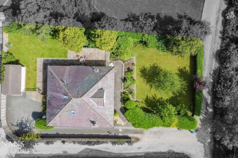 DJI_04042.jpg