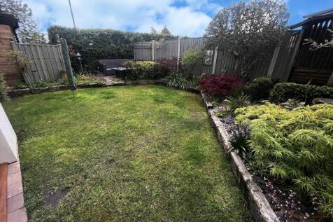 garden.jpeg