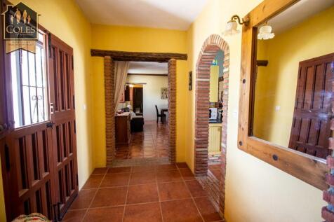 Property Image 43