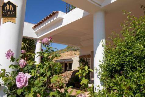 Property Image 34