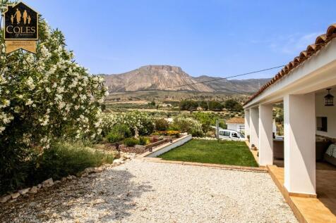 Property Image 61