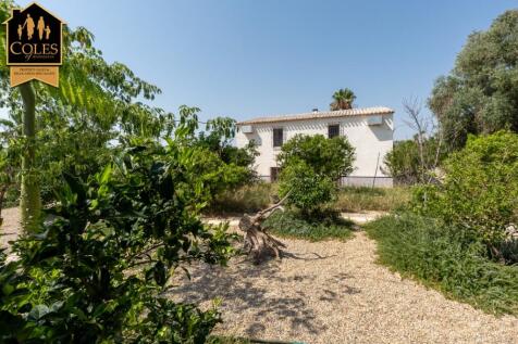 Property Image 31