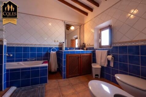 Property Image 39