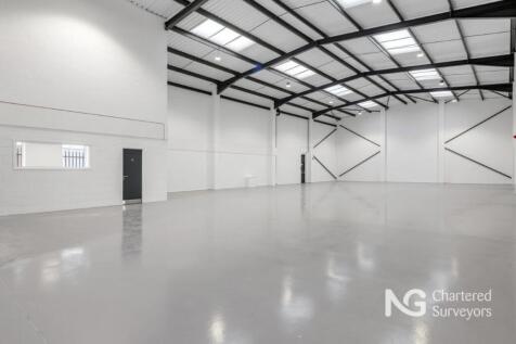 U8 Robin HoodLow3.jpg