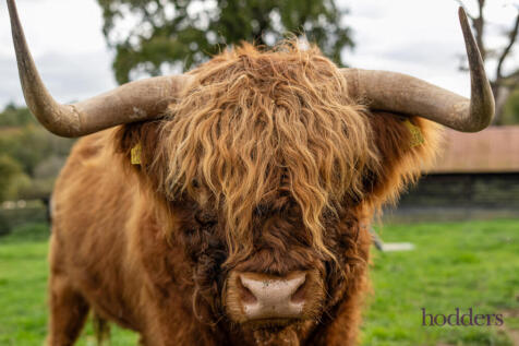 2b0940f0-36f9-410...