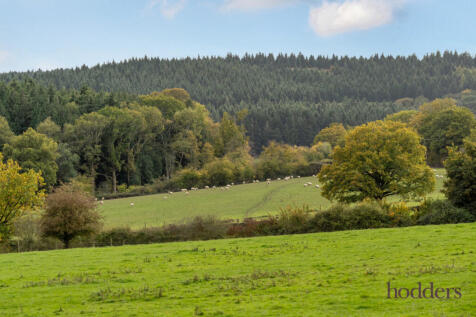 75d44fed-38eb-443...