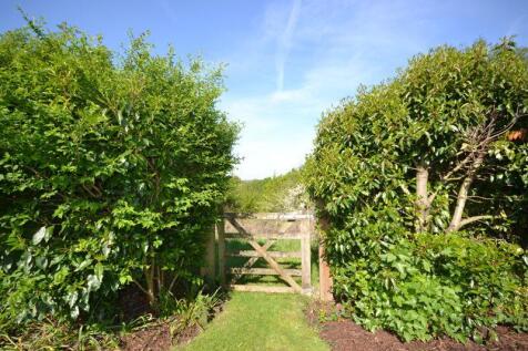 Photo 26
