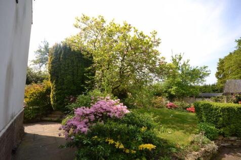 Photo 43