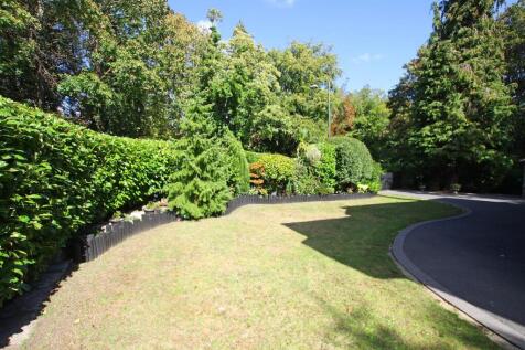 Front garden.jpg