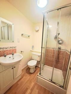 Picture 8