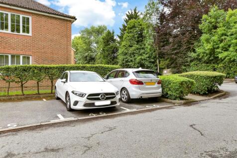 Driveway/Parking