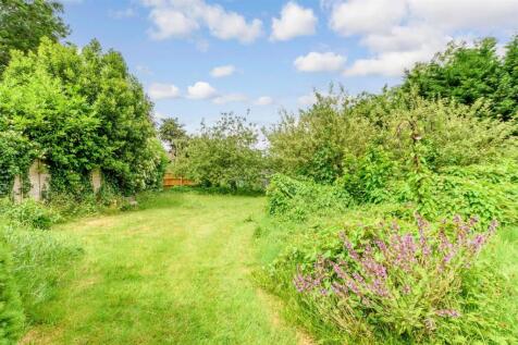 Side Garden