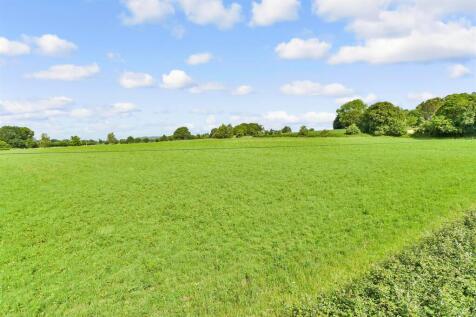 Surrounding Area
