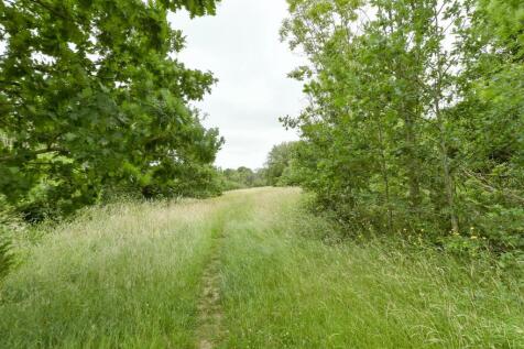 Surrounding Area
