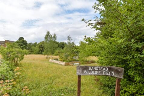 Surrounding Area