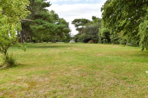 Surrounding Area