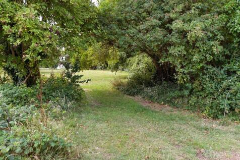 Surrounding Area