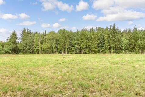 Surrounding Area