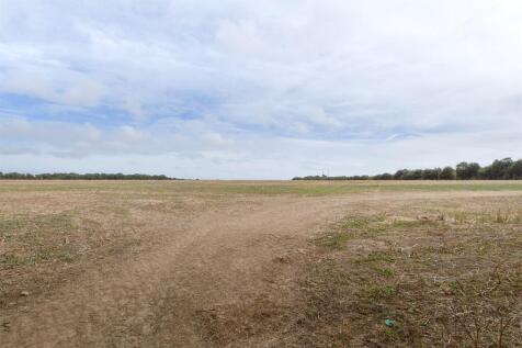 Surrounding Area