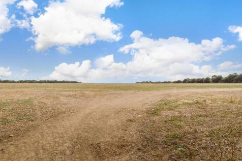 Surrounding Area