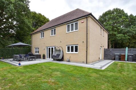 Rear Elevation