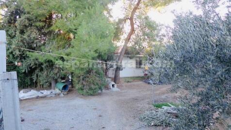 Property Image 17