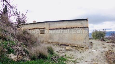 Property Image 8