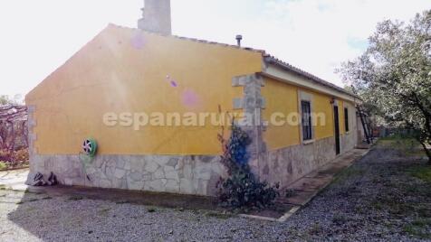 Property Image 22