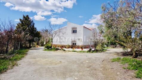 Property Image 22