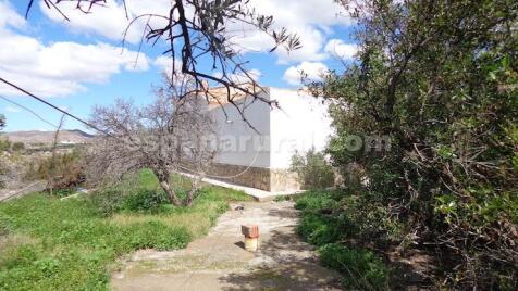 Property Image 25